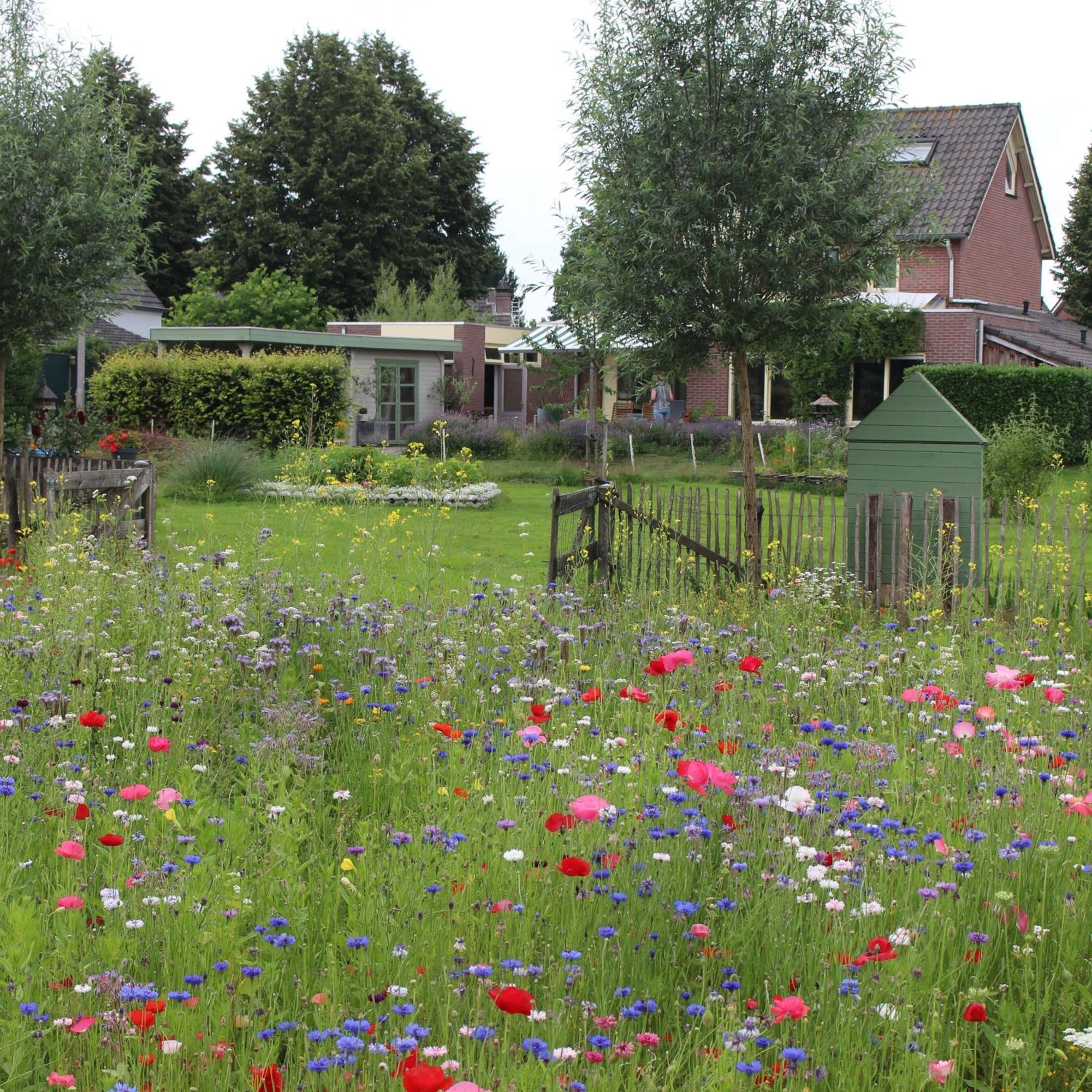 Bed and Breakfast De Bosuil à Steensel Extérieur photo